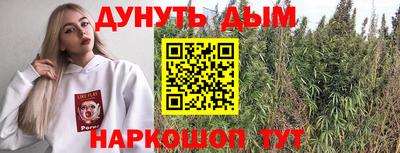 гашик Гусь-Хрустальный