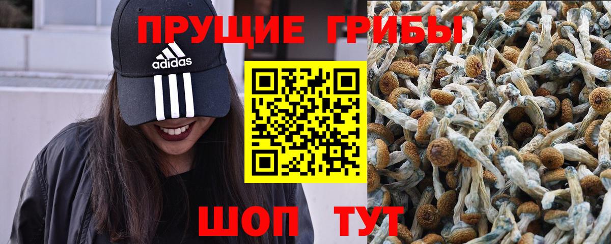 Каннабис Лянтор